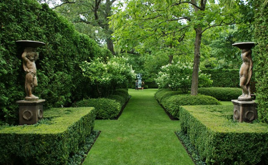 Shrubs & Beds