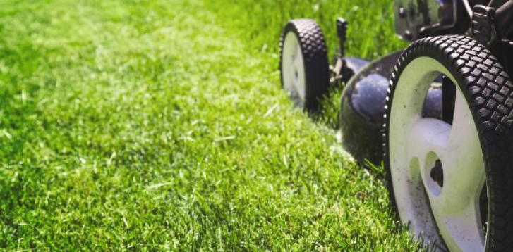 Grass deals maintenance companies